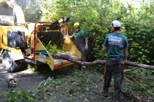 tree services Palmer